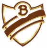 Logo de Bohemios